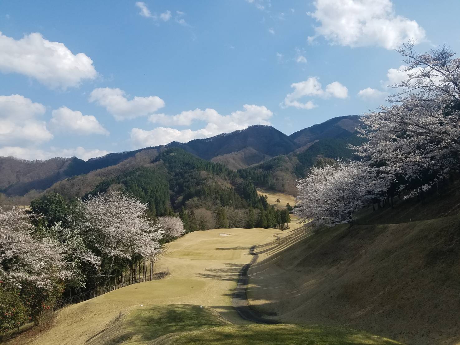 桜ヒルズゴルフクラブ – 桜の風薫る、秋山の爽快ゴルフコース -山梨